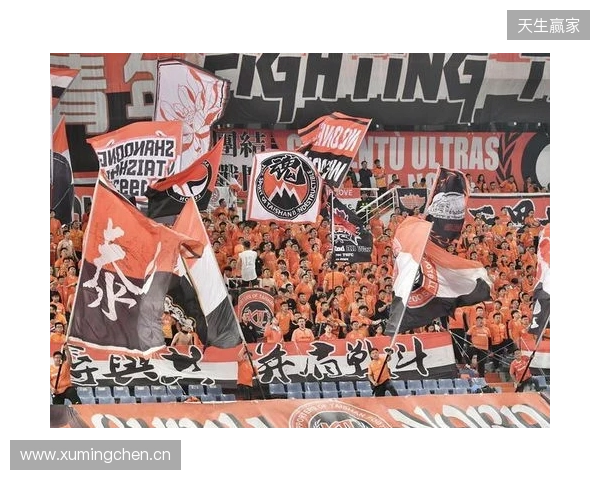 苗原谈泰山引援:账户里有200万水平购买力 但文旅决策尽量少花钱 苗原谈泰山引援:账户里有200万水平购买力 但文旅决策尽量少花钱